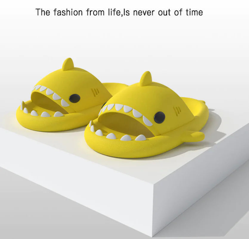 GIZIMO CARBOFIN Shark Slippers